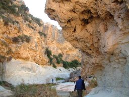 Mula Antigua serie-2